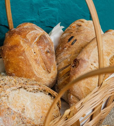 pexels-bruthethe-1755788